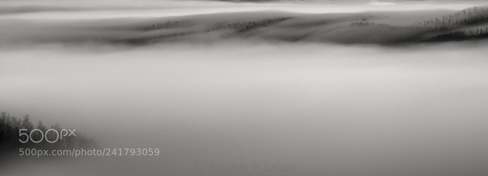 Nikon D810 sample photo. La nebbia accarezza le photography