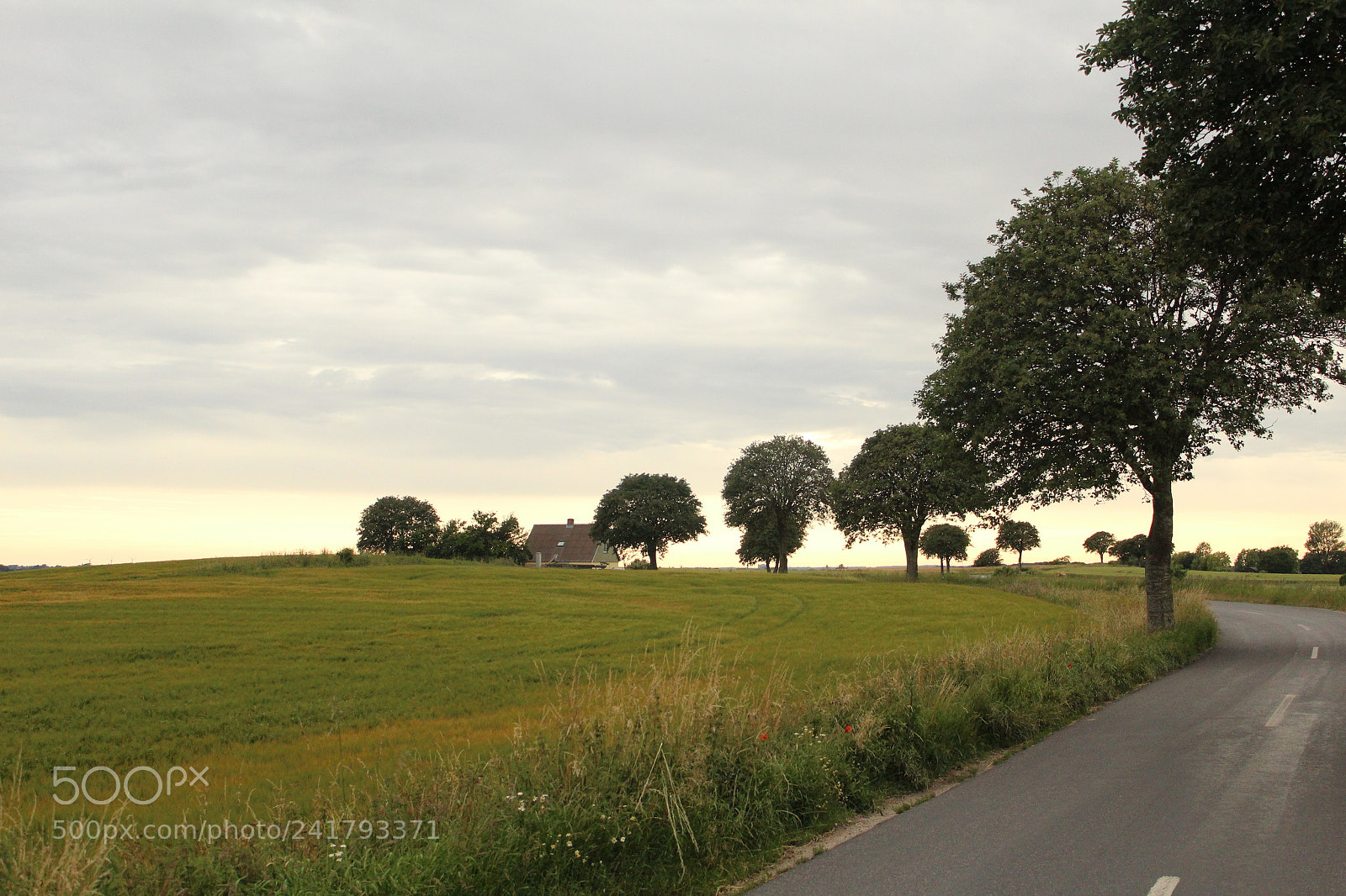 Canon EOS 1200D (EOS Rebel T5 / EOS Kiss X70 / EOS Hi) sample photo. Danish countryside photography