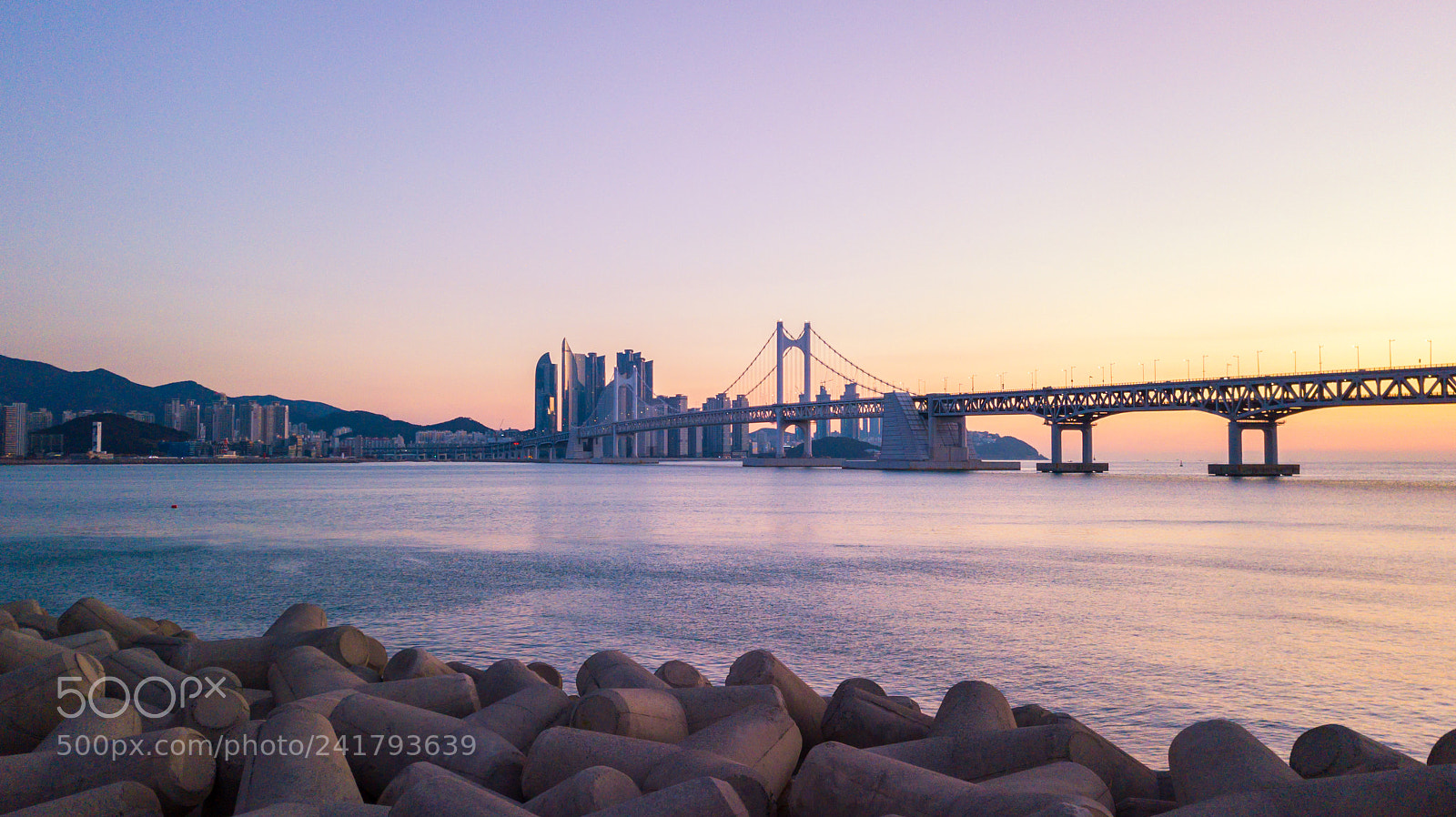 DJI FC220 sample photo. Gwangan bridge and haeundae photography
