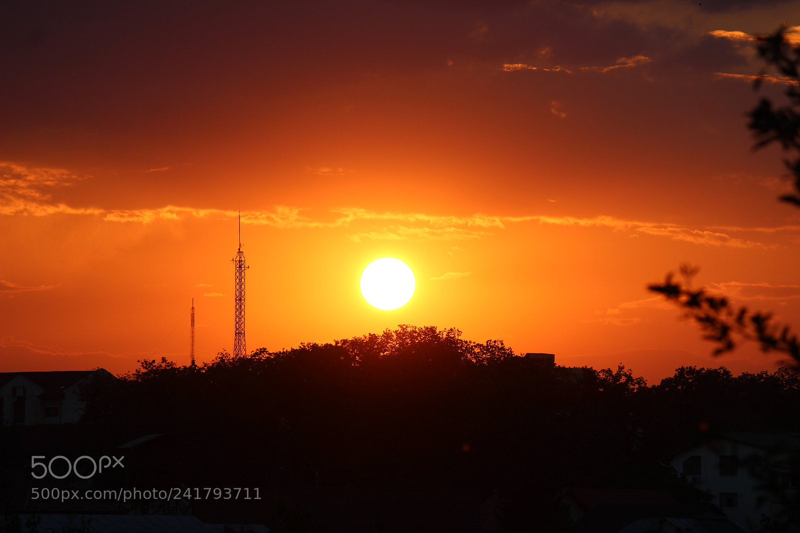 Canon EF-S 55-250mm F4-5.6 IS II sample photo. Img photography