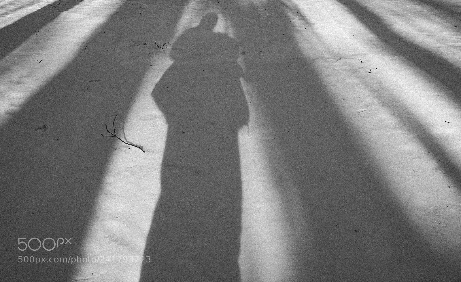 Canon EOS 1300D (EOS Rebel T6 / EOS Kiss X80) sample photo. My shadow photography