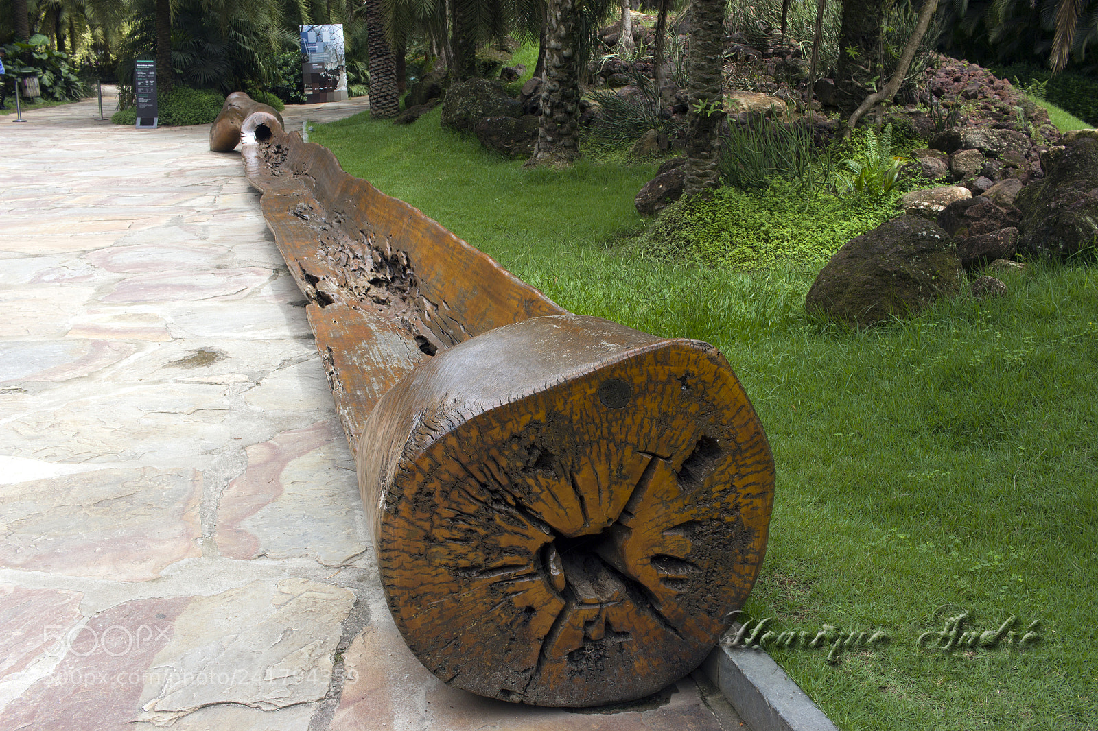 Canon EOS 600D (Rebel EOS T3i / EOS Kiss X5) sample photo. Inhotim - mg photography
