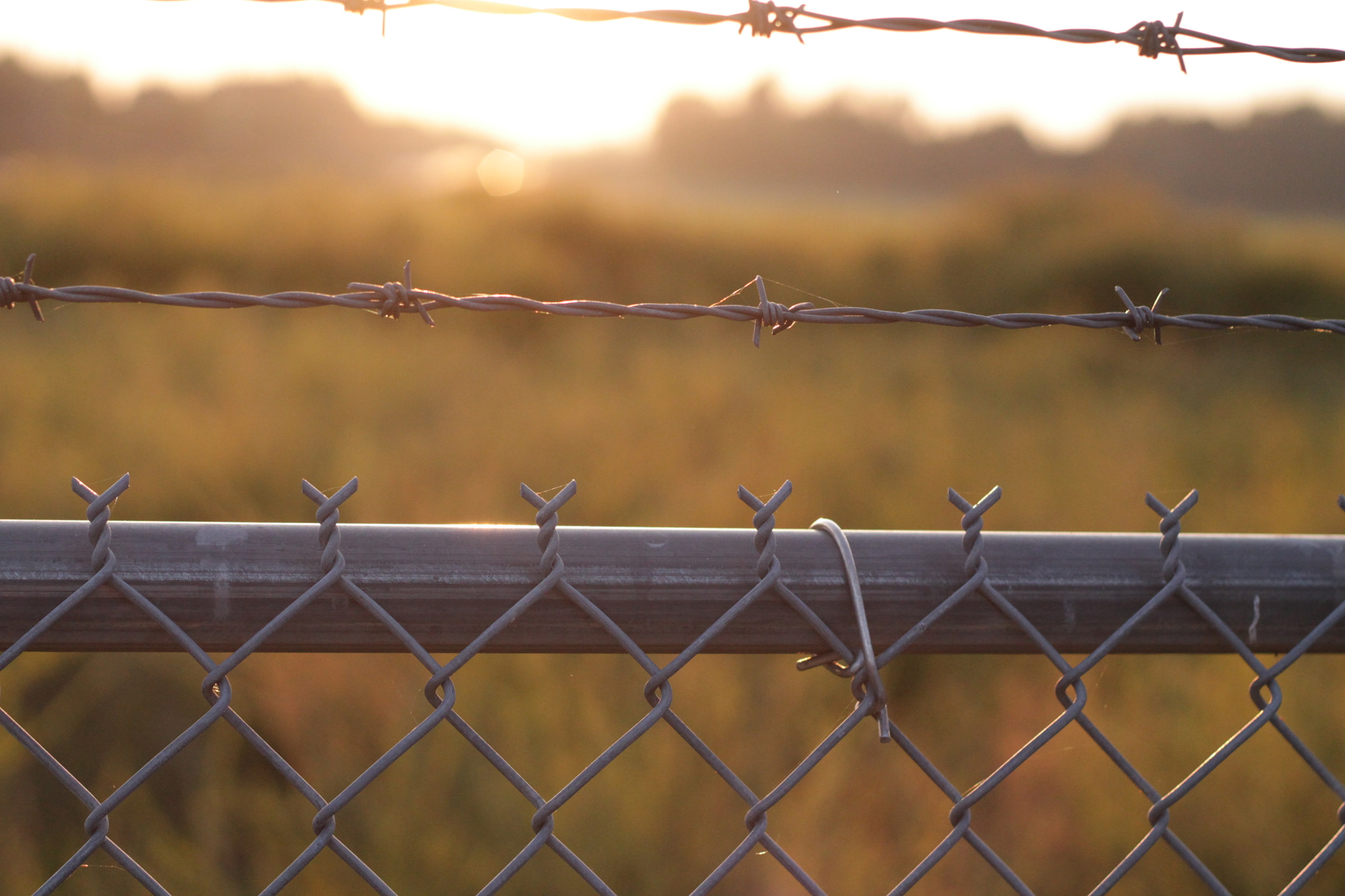 Canon EOS 1100D (EOS Rebel T3 / EOS Kiss X50) sample photo. Sunset in the rearview photography