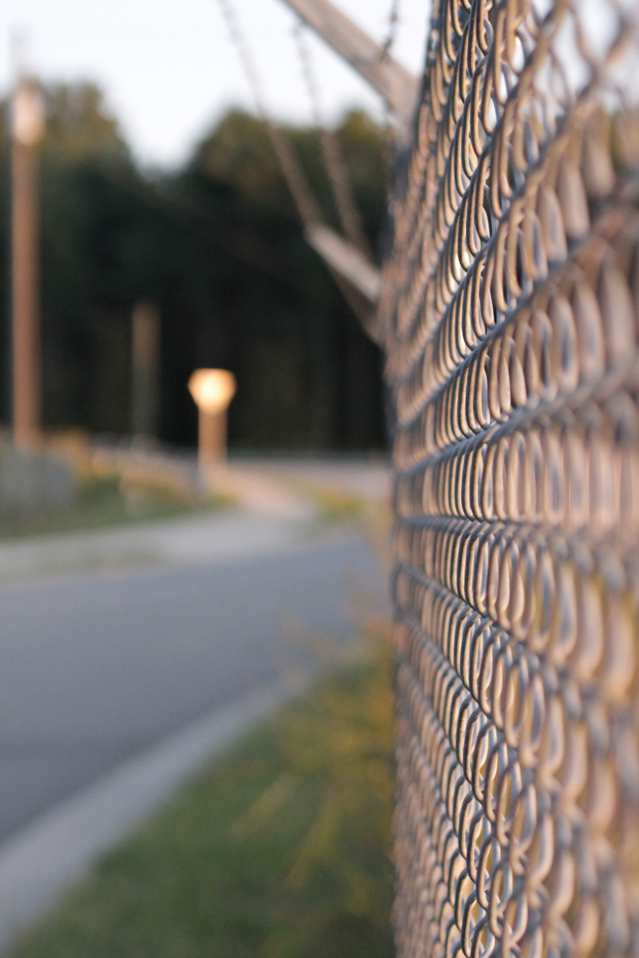 Canon EOS 1100D (EOS Rebel T3 / EOS Kiss X50) sample photo. Sunset in the rearview photography