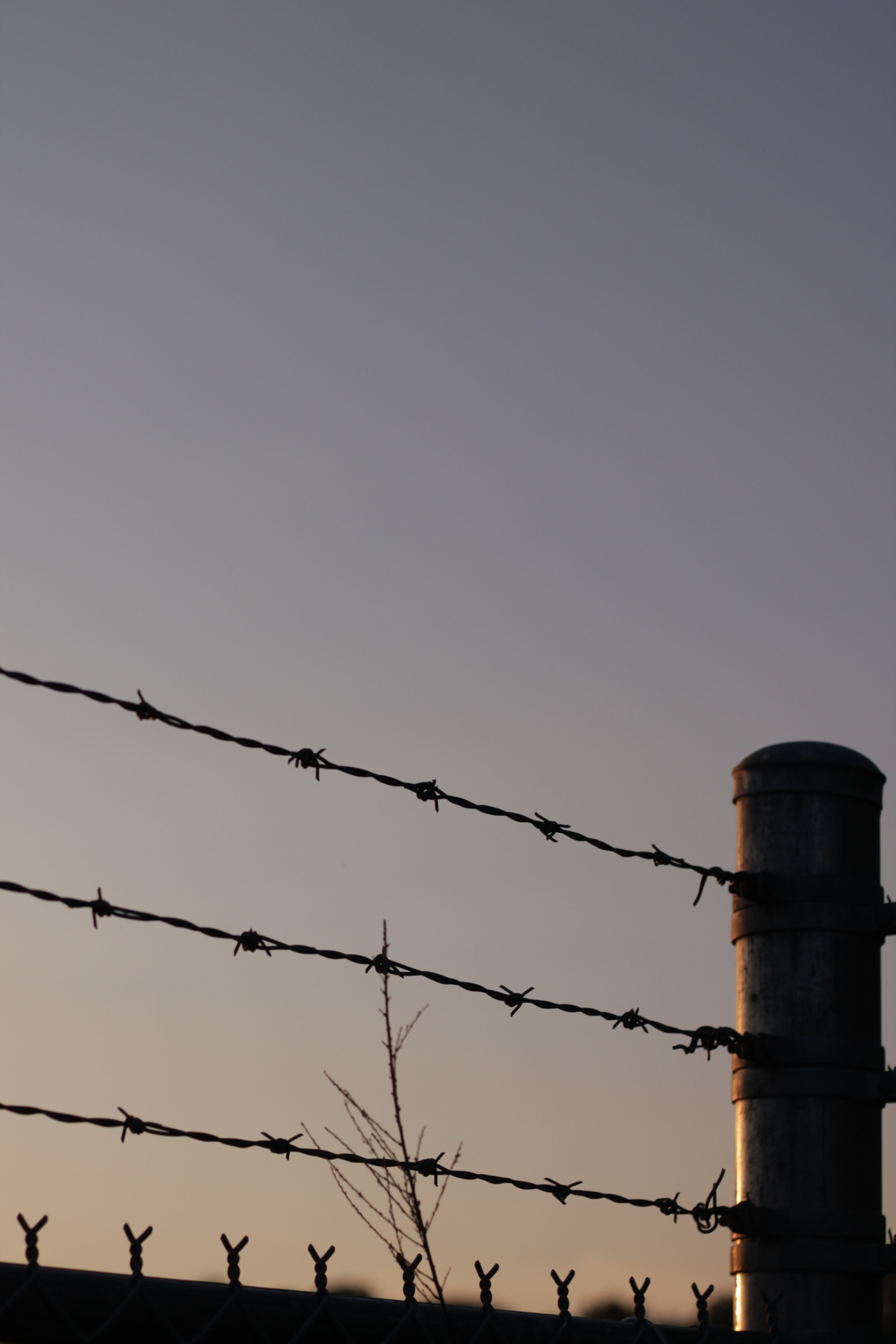 Canon EOS 1100D (EOS Rebel T3 / EOS Kiss X50) sample photo. Sunset in the rearview photography