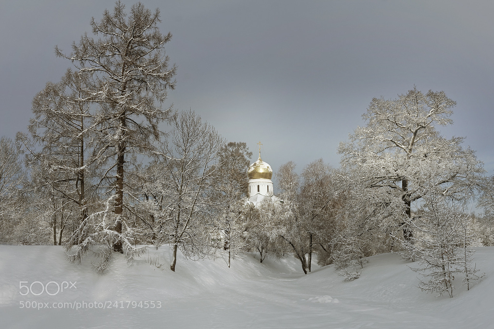 Pentax K-5 sample photo. Snowy winter.. _4_ photography