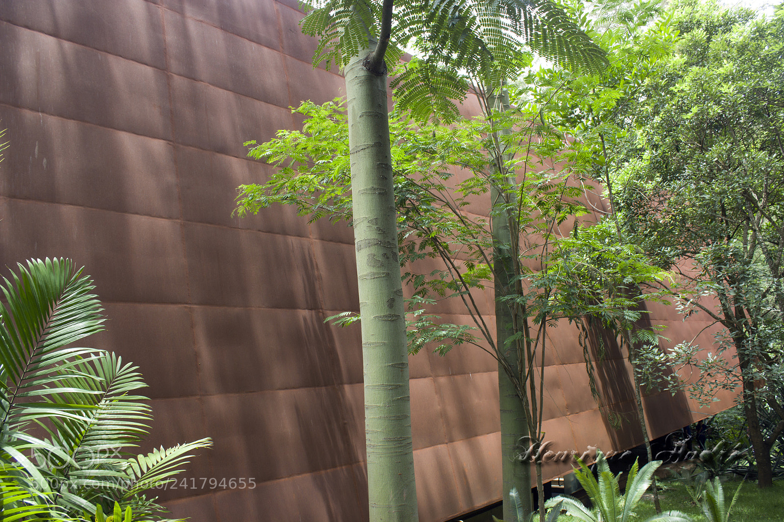 Canon EOS 600D (Rebel EOS T3i / EOS Kiss X5) sample photo. Inhotim - mg photography