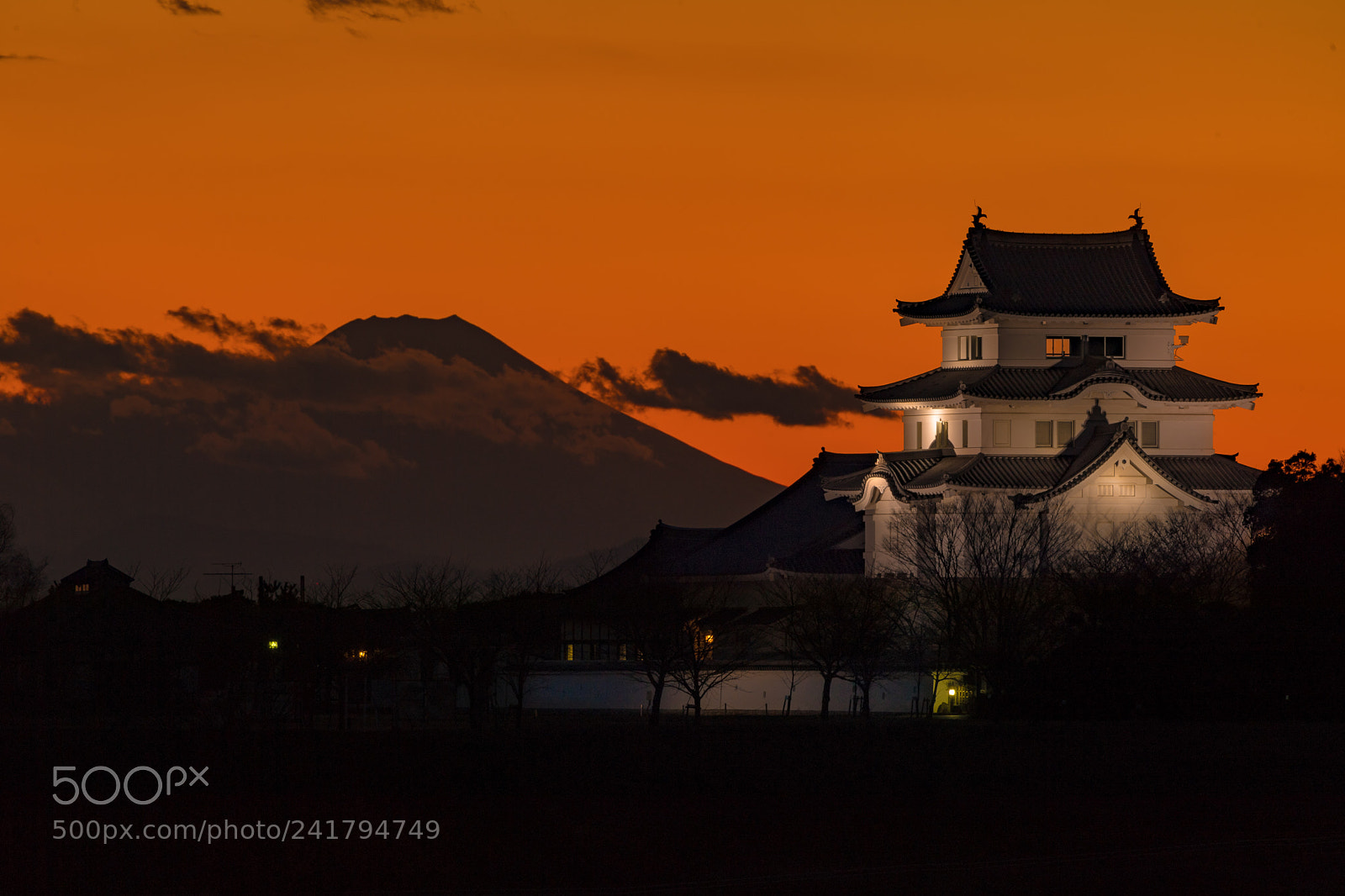 Nikon D5 sample photo. Sekiyado castle and mt.fuji photography