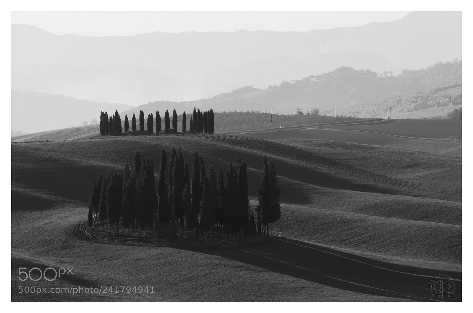 Nikon D300 sample photo. Cypresses.jpg photography