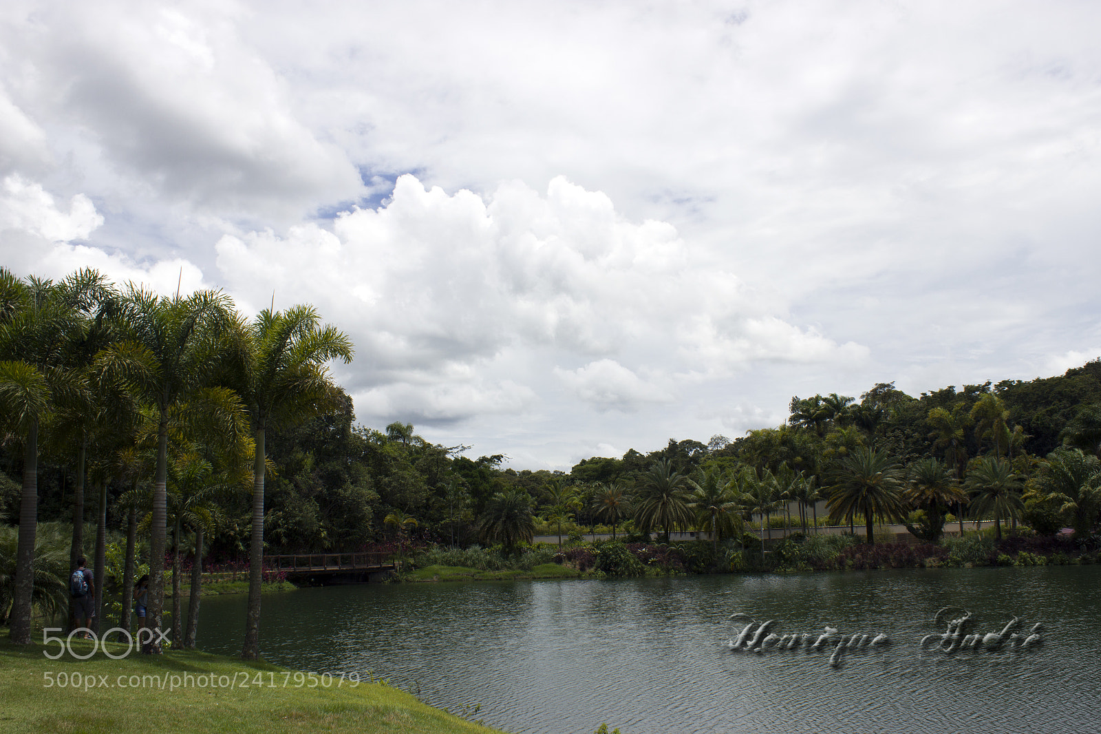 Canon EOS 600D (Rebel EOS T3i / EOS Kiss X5) sample photo. Inhotim - mg photography