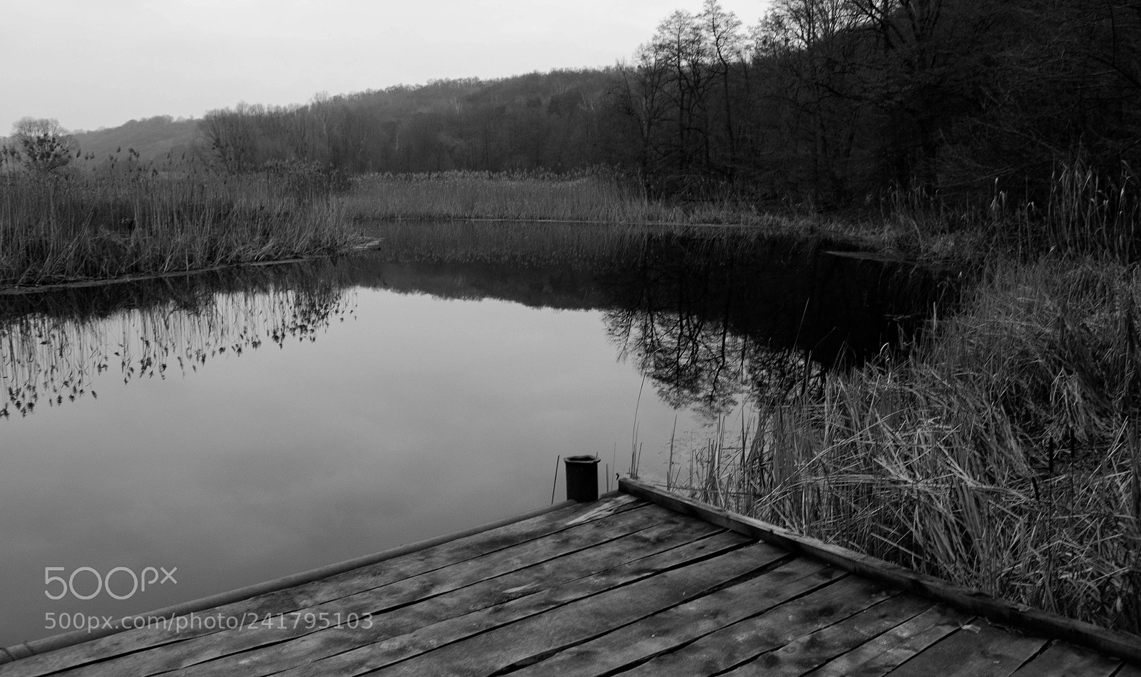 Nikon D3100 sample photo. Bridge photography