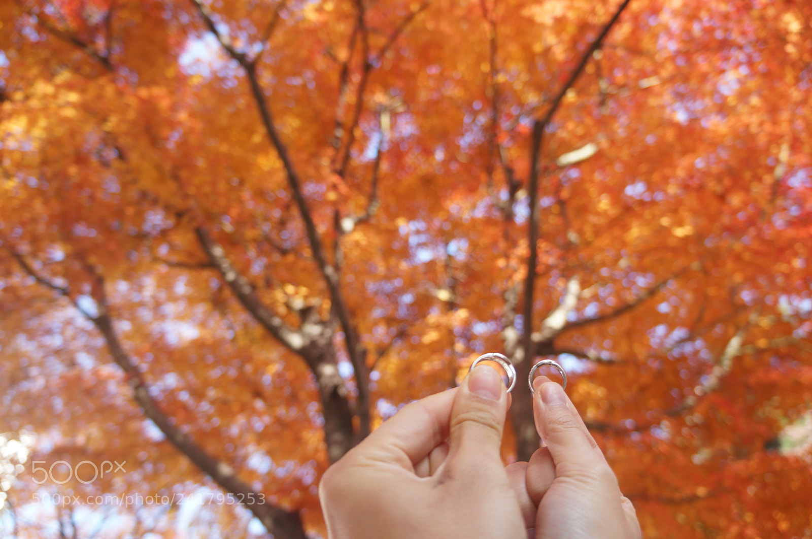 Sony Alpha NEX-F3 sample photo. With my girlfriend photography
