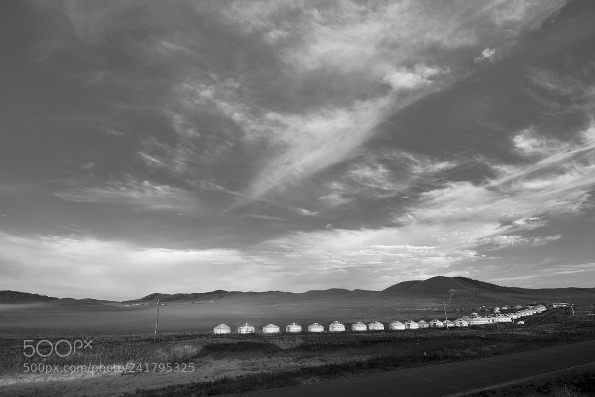 Nikon D800E sample photo. Black and white photography
