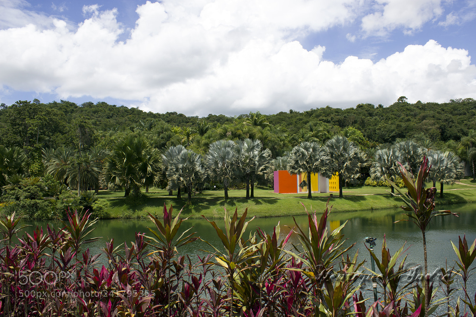 Canon EOS 600D (Rebel EOS T3i / EOS Kiss X5) sample photo. Inhotim - mg photography
