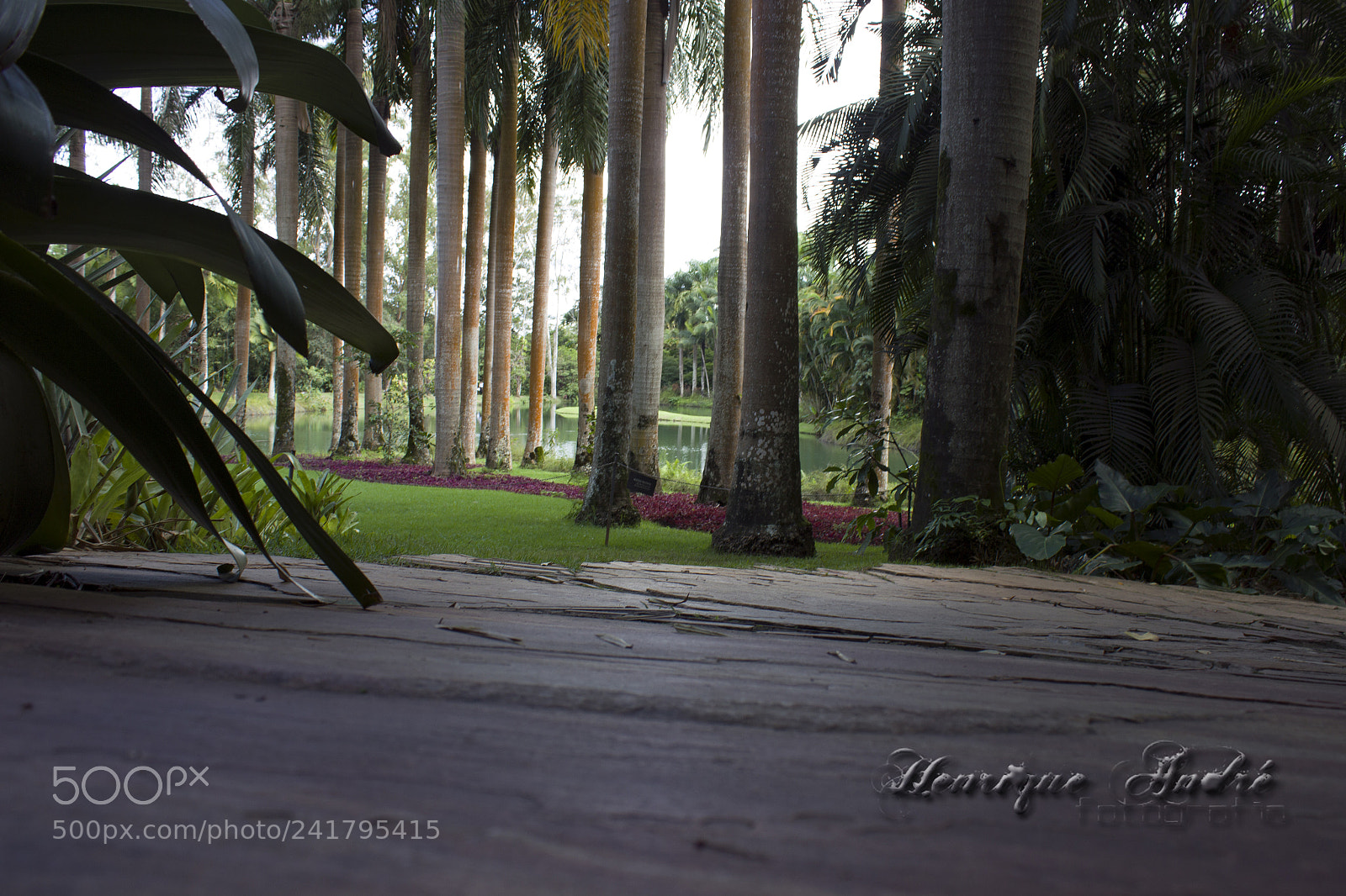 Canon EOS 600D (Rebel EOS T3i / EOS Kiss X5) sample photo. Inhotim - mg photography