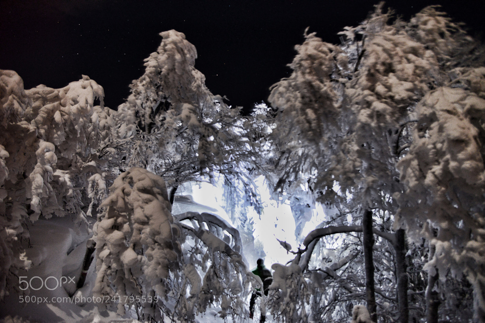 Nikon D800 sample photo. Untitled photography