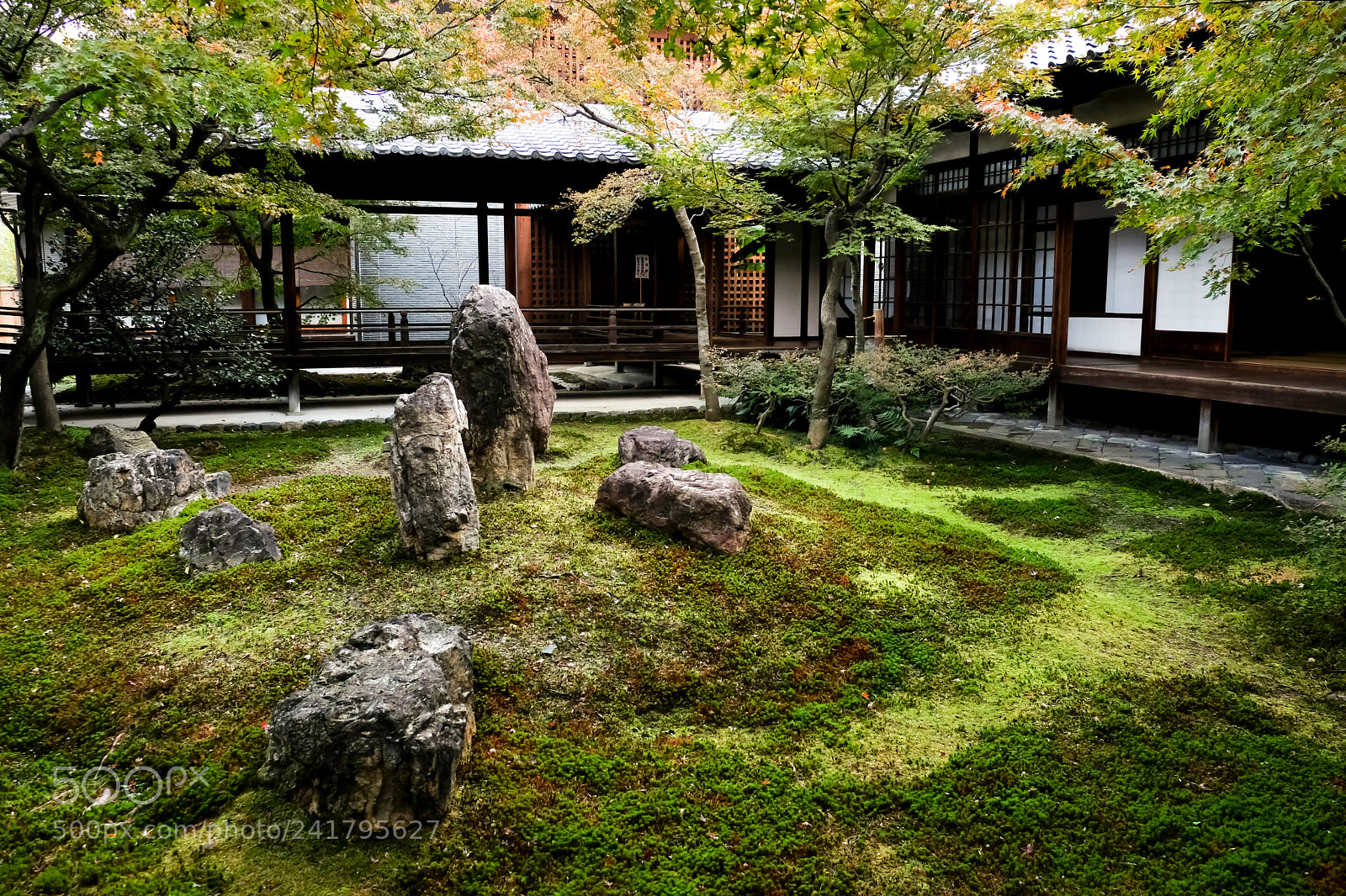 Fujifilm X-Pro2 sample photo. Xpr photography