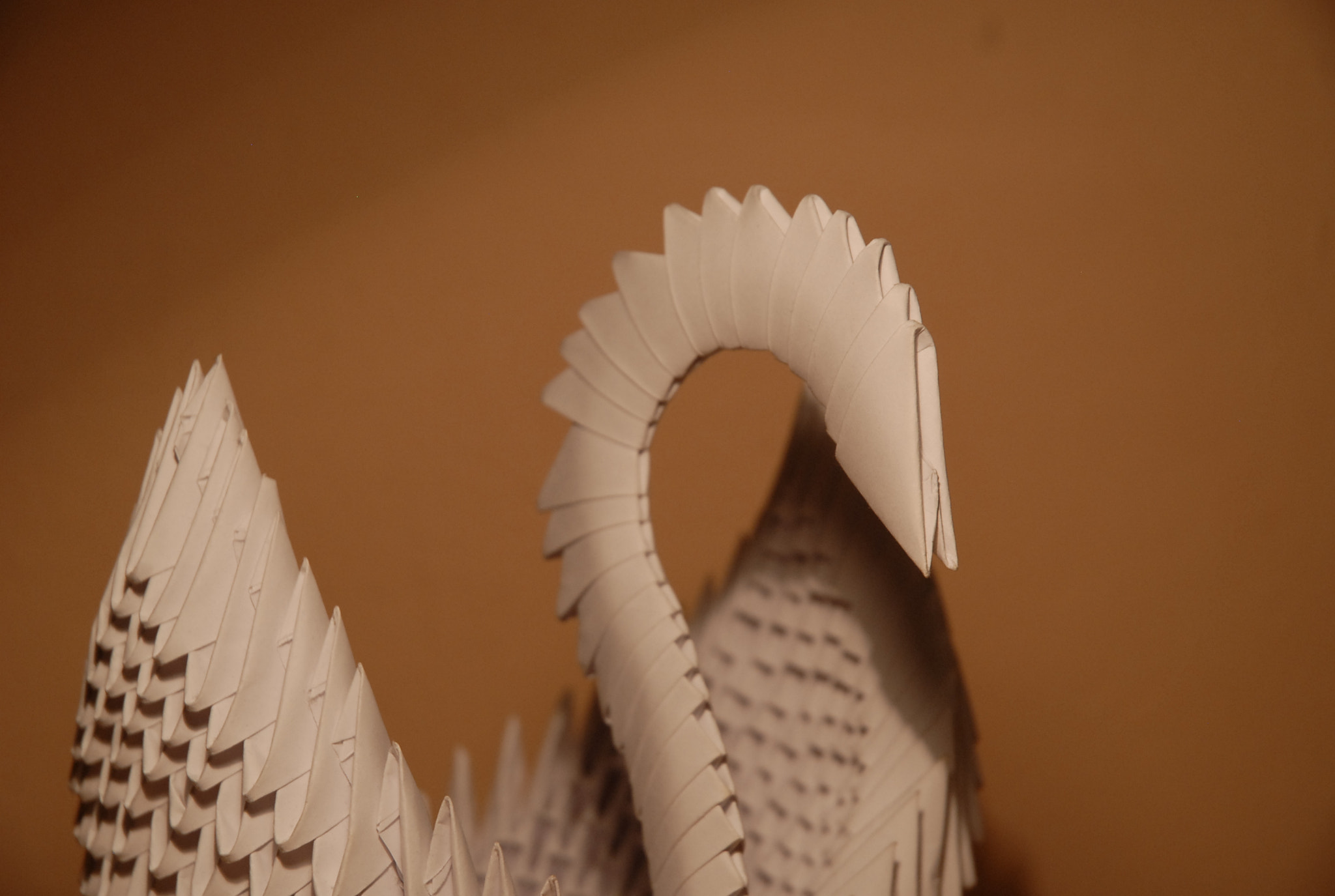 Nikon D200 sample photo. 3d origami swan photography