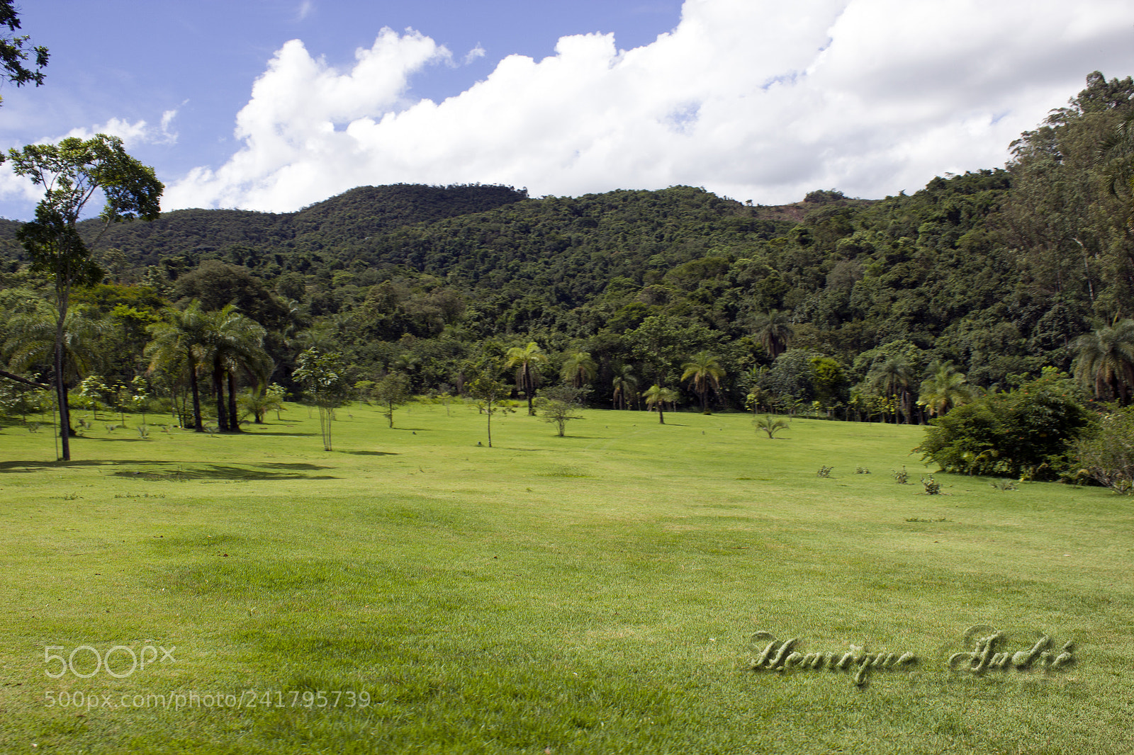 Canon EOS 600D (Rebel EOS T3i / EOS Kiss X5) sample photo. Inhotim - mg photography