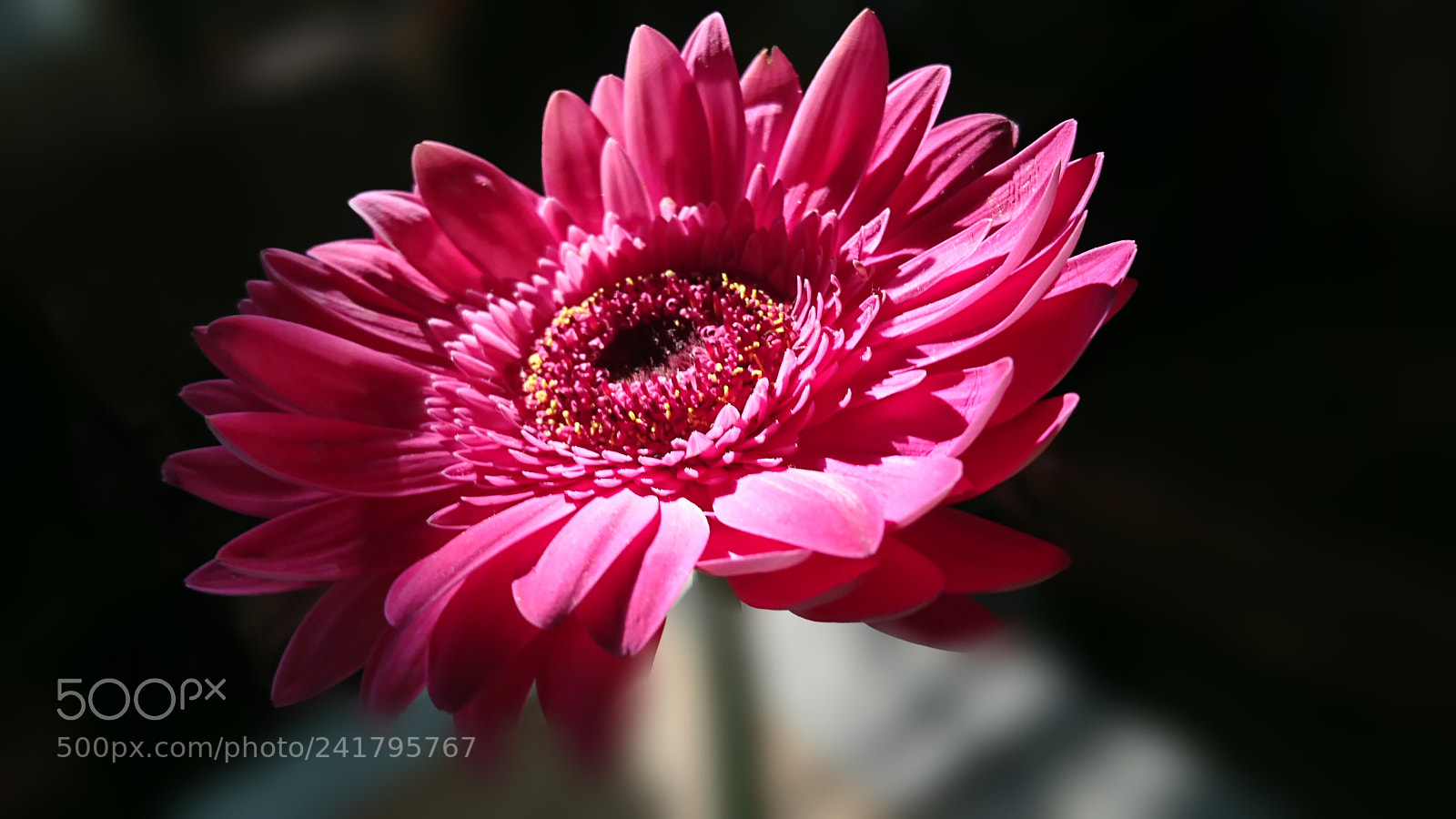 Sony Xperia XZ sample photo. Winter sunshine#2 photography