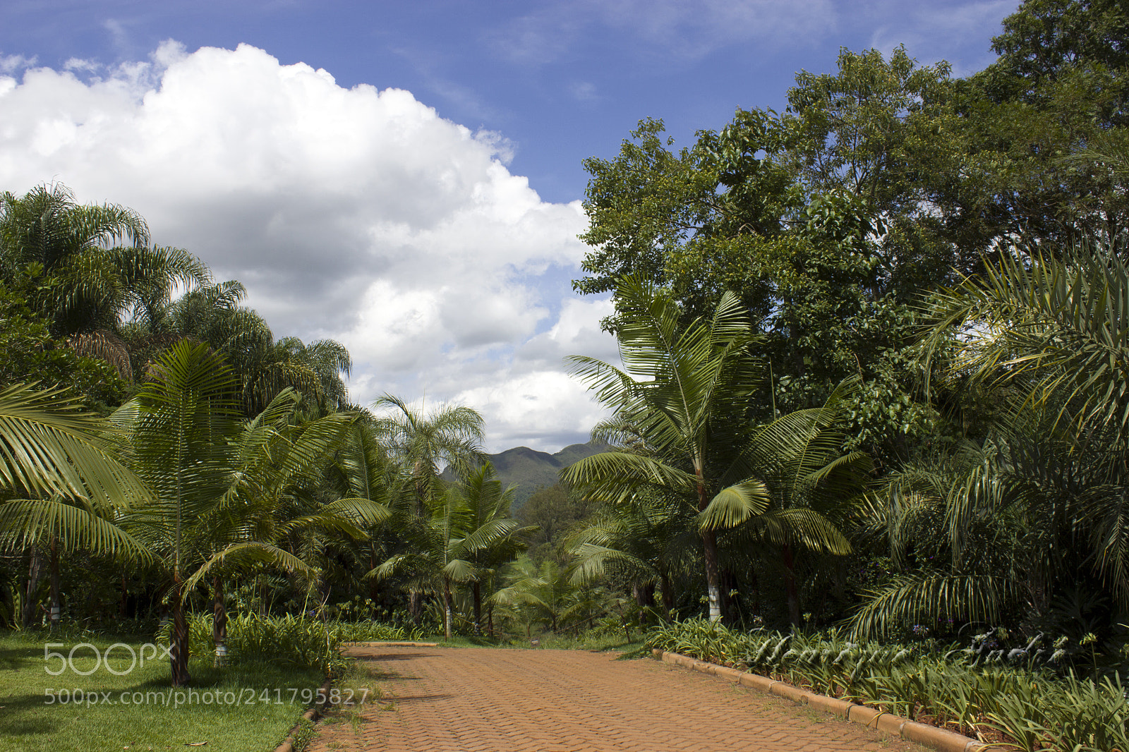 Canon EOS 600D (Rebel EOS T3i / EOS Kiss X5) sample photo. Inhotim - mg photography