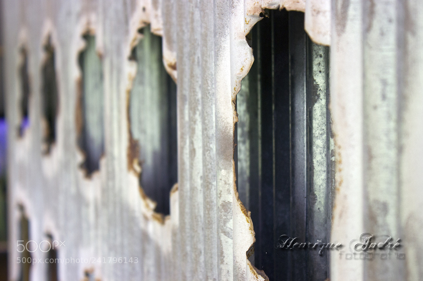 Canon EOS 600D (Rebel EOS T3i / EOS Kiss X5) sample photo. Inhotim - mg photography