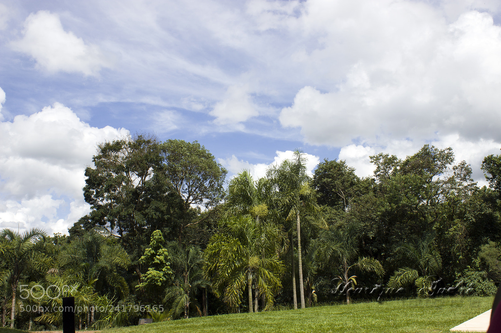 Canon EOS 600D (Rebel EOS T3i / EOS Kiss X5) sample photo. Inhotim - mg photography
