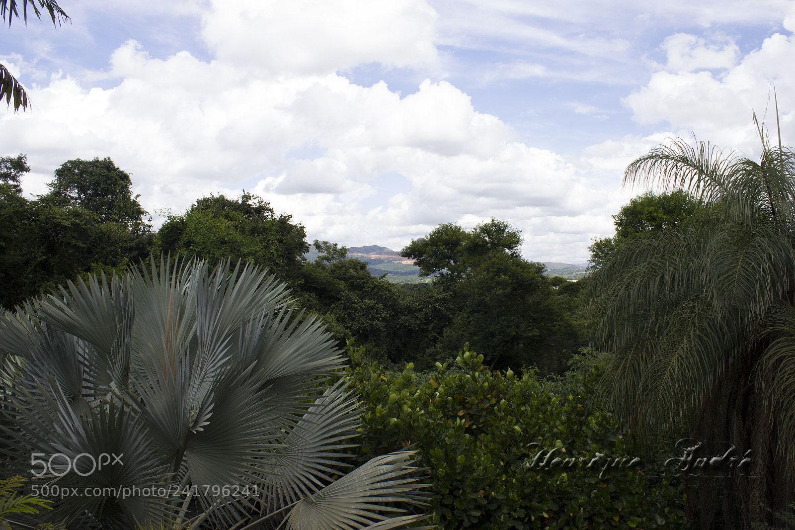 Canon EOS 600D (Rebel EOS T3i / EOS Kiss X5) sample photo. Inhotim - mg photography
