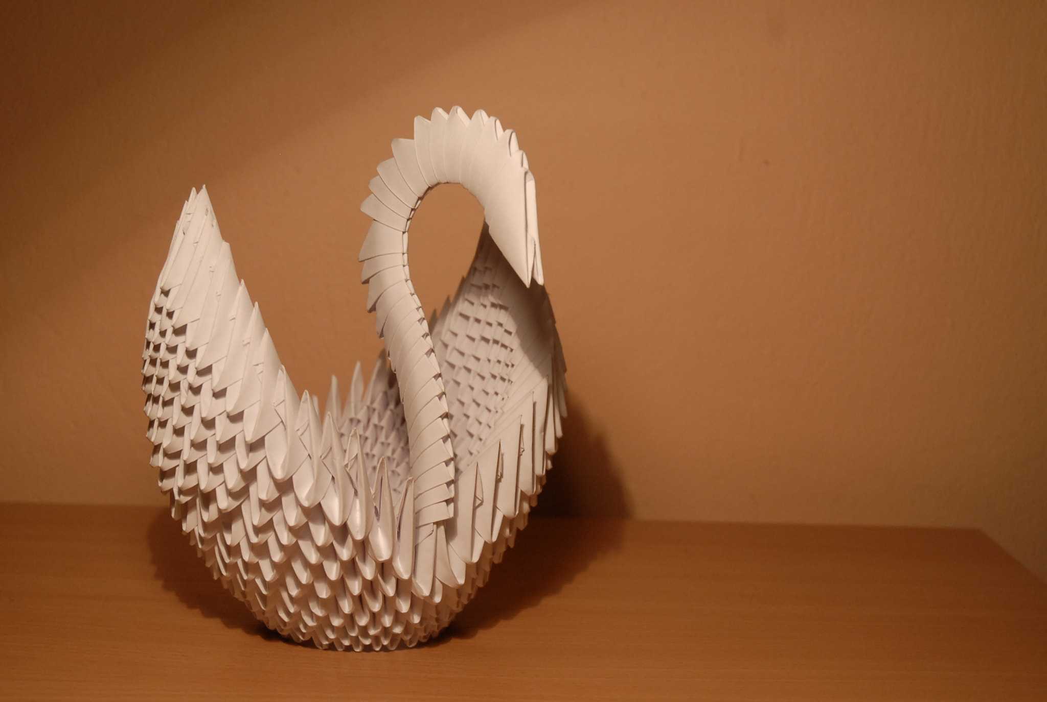 Nikon D200 sample photo. 3d origami swan photography