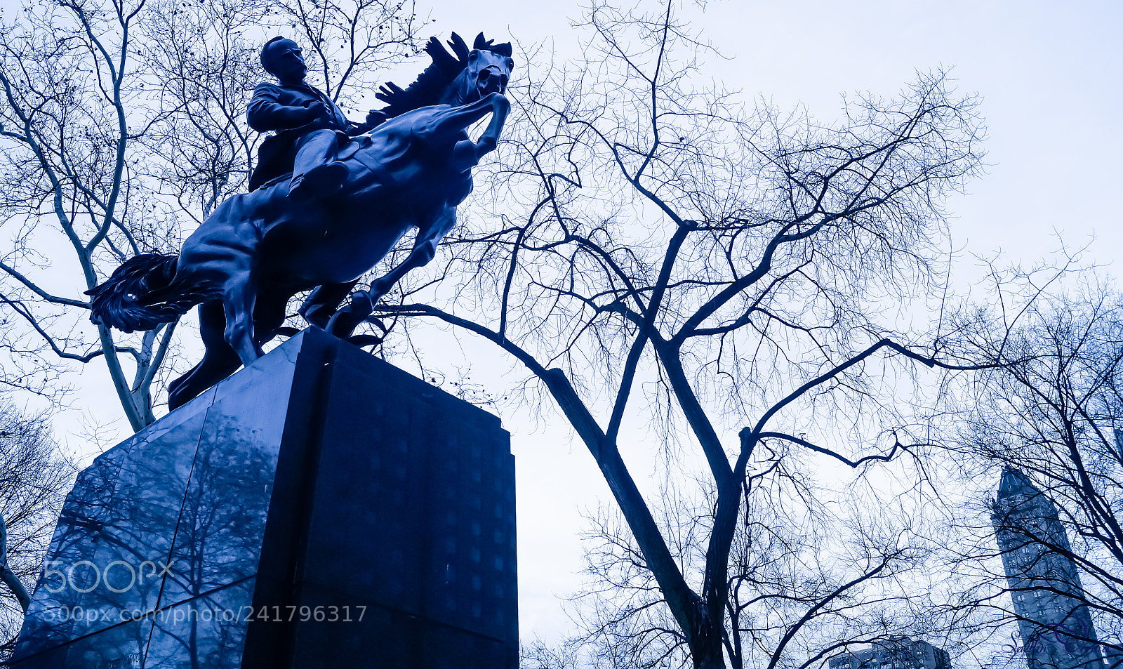Sony SLT-A57 sample photo. Centralpark nyc photography
