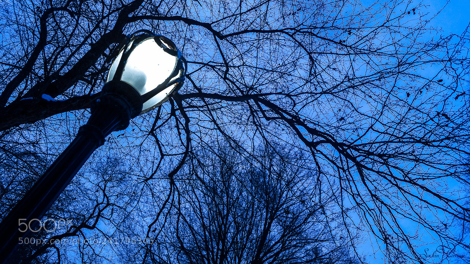 Sony SLT-A57 sample photo. Central park lights nyc photography