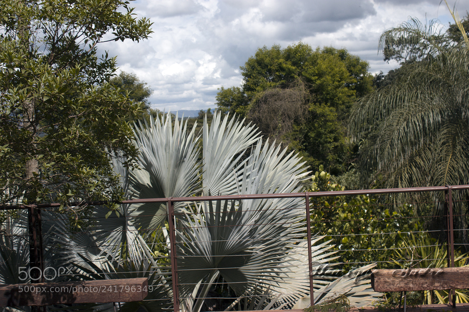 Canon EOS 600D (Rebel EOS T3i / EOS Kiss X5) sample photo. Inhotim - mg photography