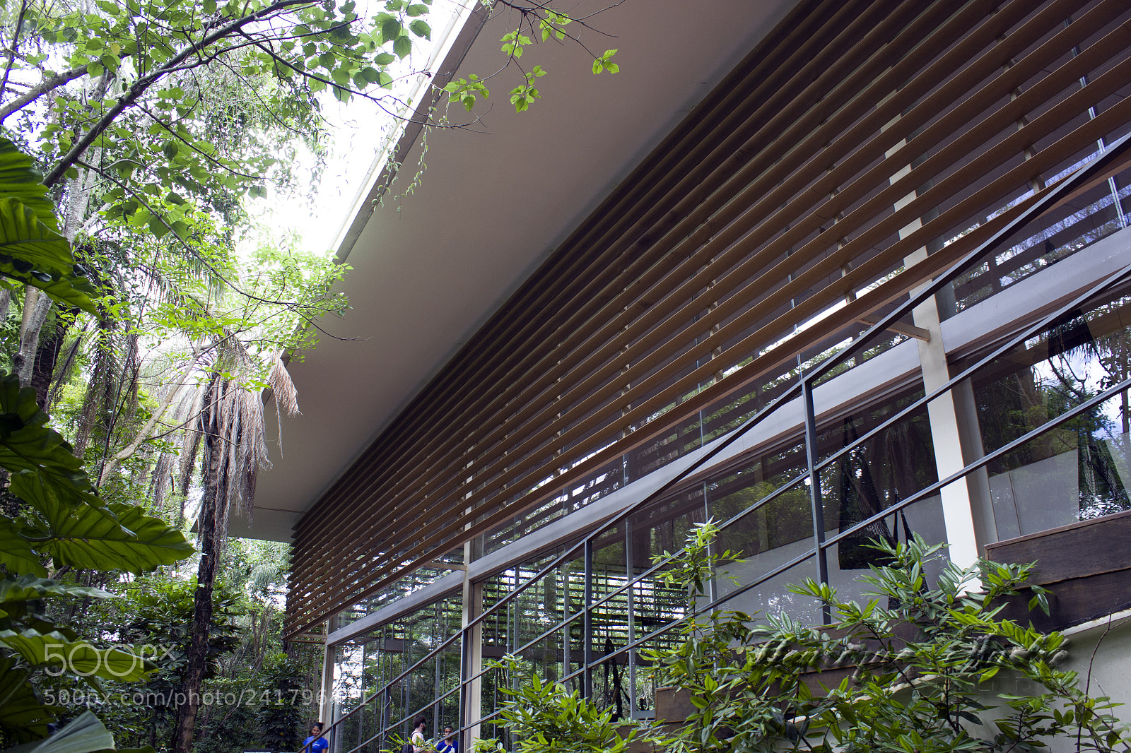 Canon EOS 600D (Rebel EOS T3i / EOS Kiss X5) sample photo. Inhotim - mg photography