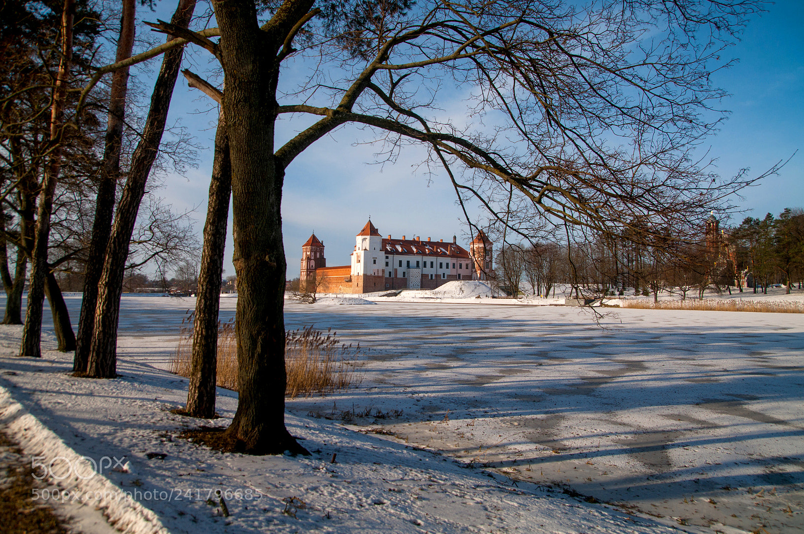 Nikon D5000 sample photo. Castle mir photography