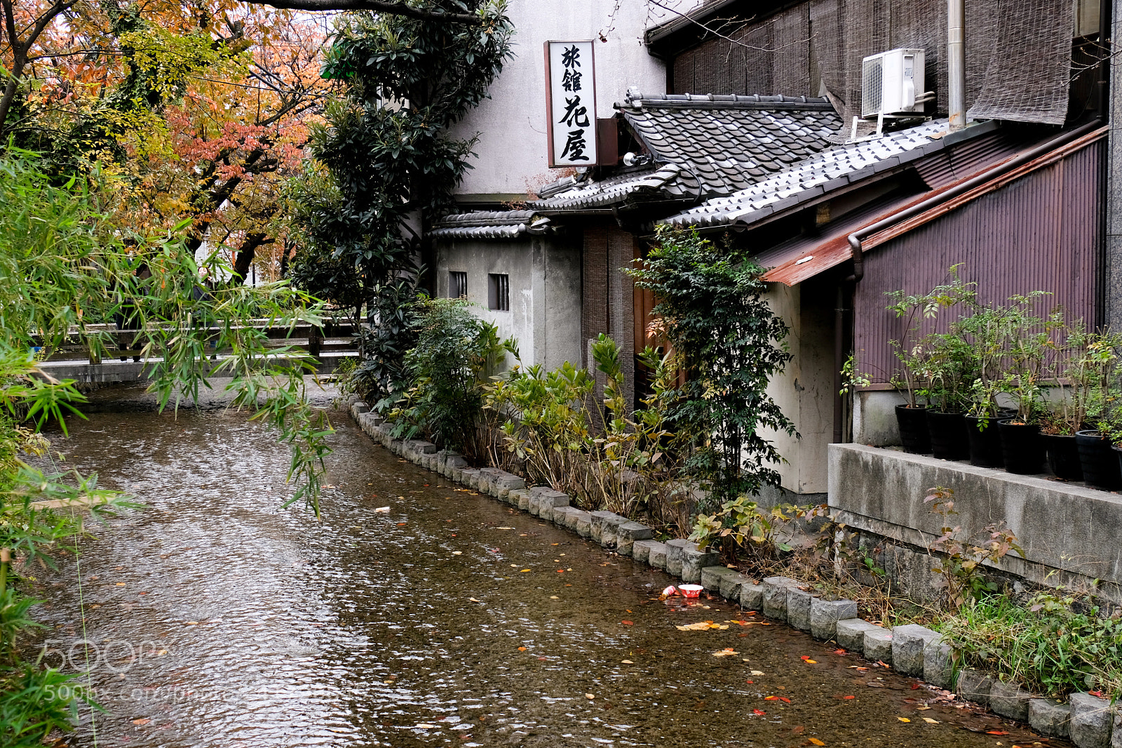 Fujifilm X-Pro2 sample photo. Xpr photography
