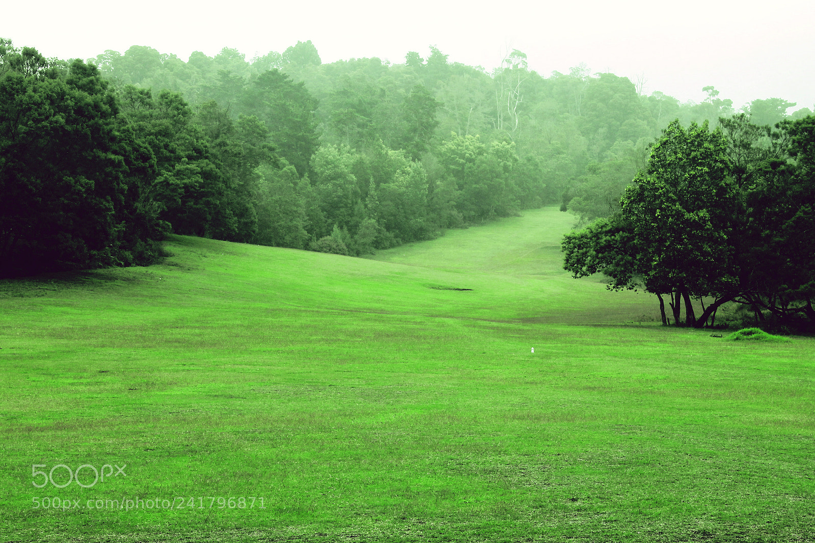 Canon EOS 1100D (EOS Rebel T3 / EOS Kiss X50) sample photo. Kodaikanal golf club photography