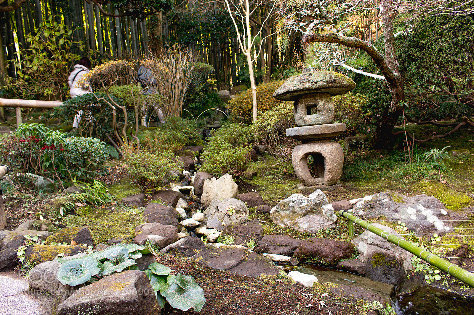 Canon EOS 100D (EOS Rebel SL1 / EOS Kiss X7) sample photo. 報国寺…houkokuji in jap photography