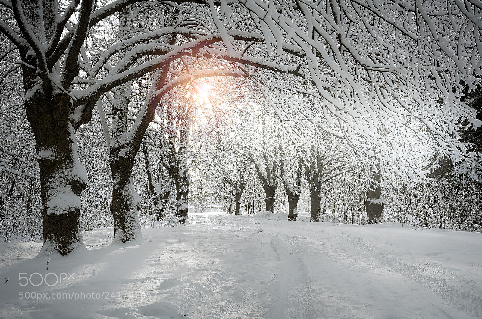 Pentax K-5 sample photo. Snowy winter.. _5_ photography