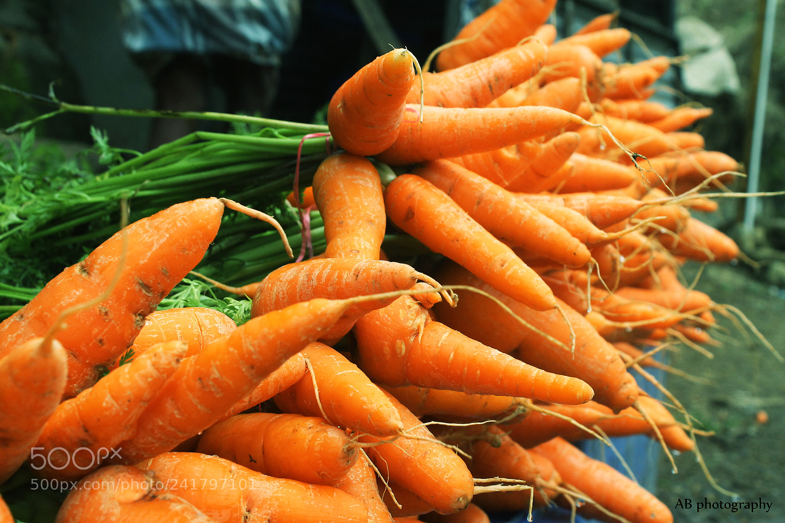 Canon EOS 1100D (EOS Rebel T3 / EOS Kiss X50) sample photo. Carrot photography