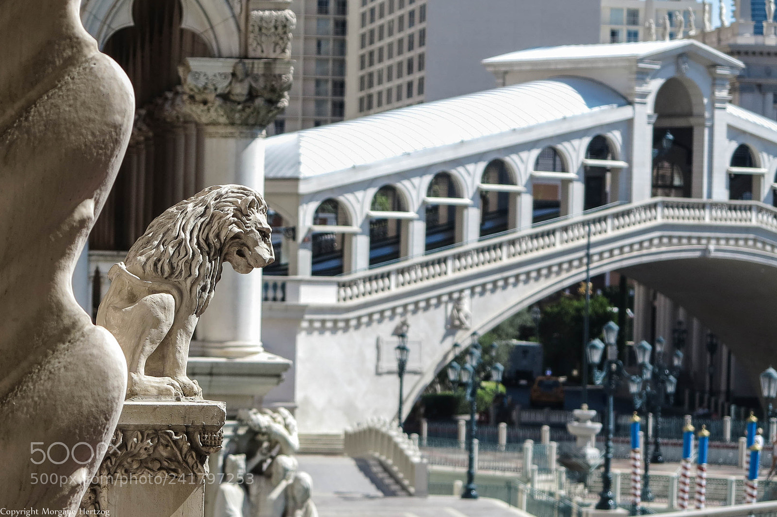 Canon PowerShot G1 X sample photo. The lion looking on photography