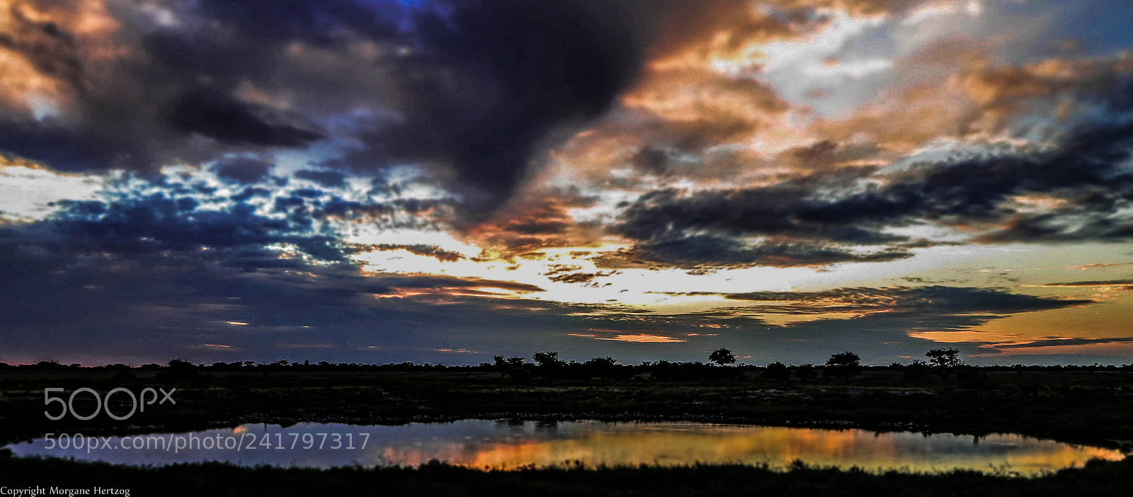 Canon PowerShot G1 X sample photo. Etosha's waterhole at sunset photography