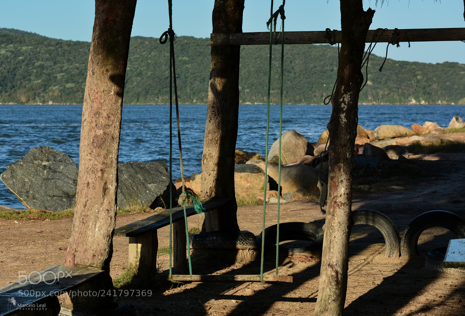 Nikon D7100 sample photo. Sea life - 4 photography