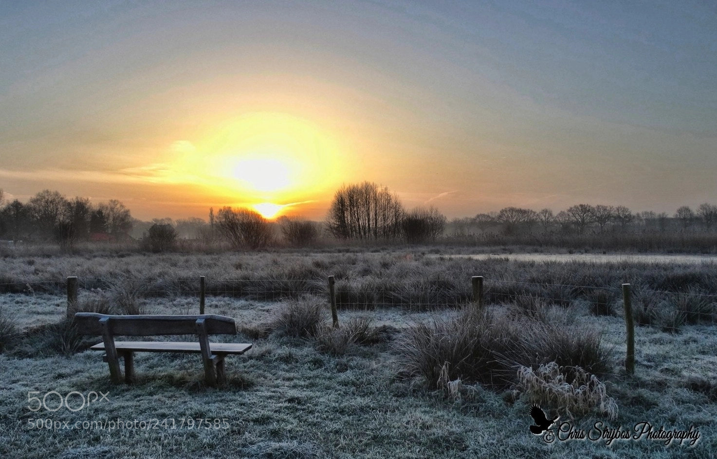 Sony Cyber-shot DSC-HX300 sample photo. Frozen morning photography
