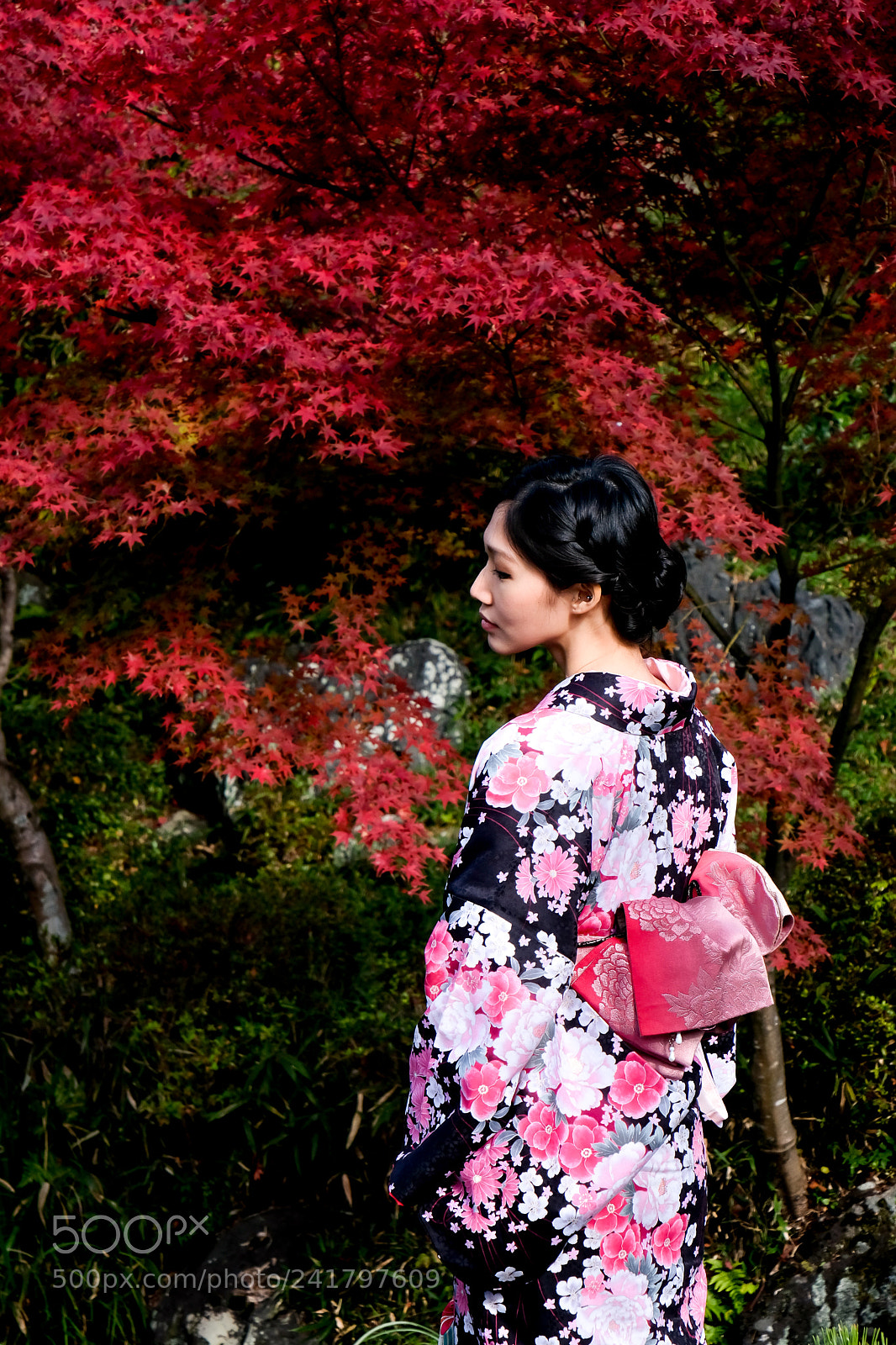 Fujifilm X-Pro2 sample photo. Xpr photography