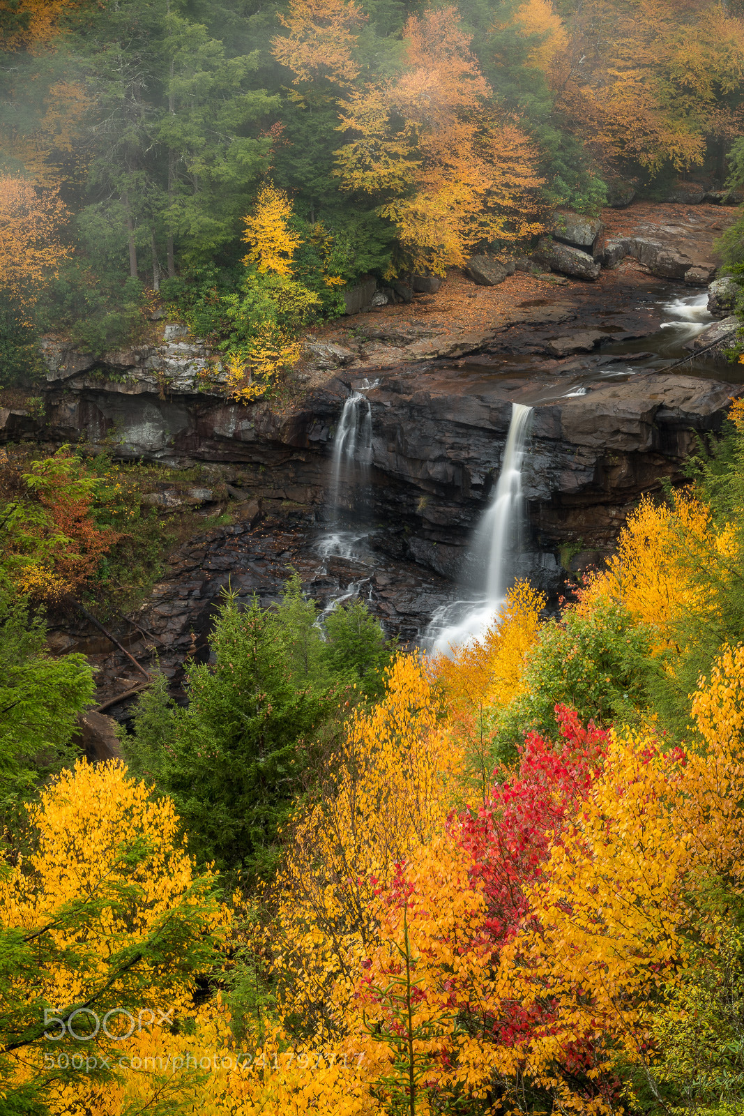 Nikon D500 sample photo. Blackwater falls at blackwater photography