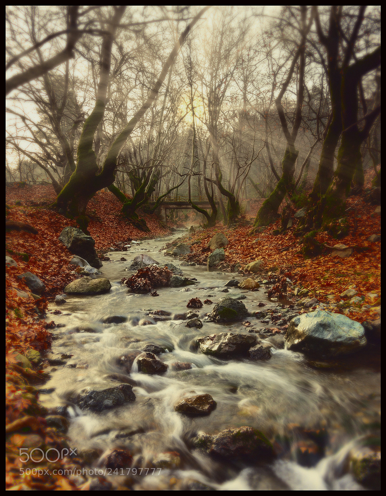 Canon EOS 60D sample photo. Untitled photography