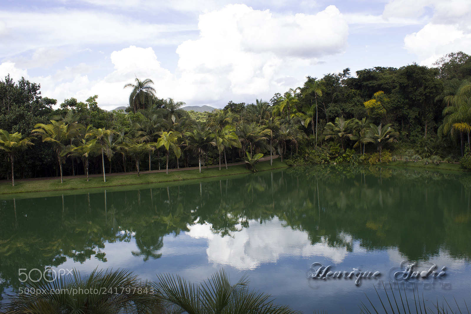 Canon EOS 600D (Rebel EOS T3i / EOS Kiss X5) sample photo. Inhotim - mg photography