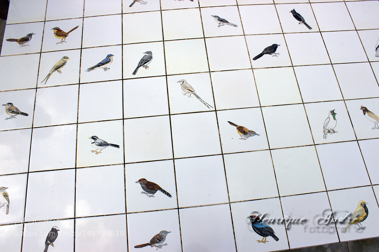 Canon EOS 600D (Rebel EOS T3i / EOS Kiss X5) sample photo. Inhotim - mg photography