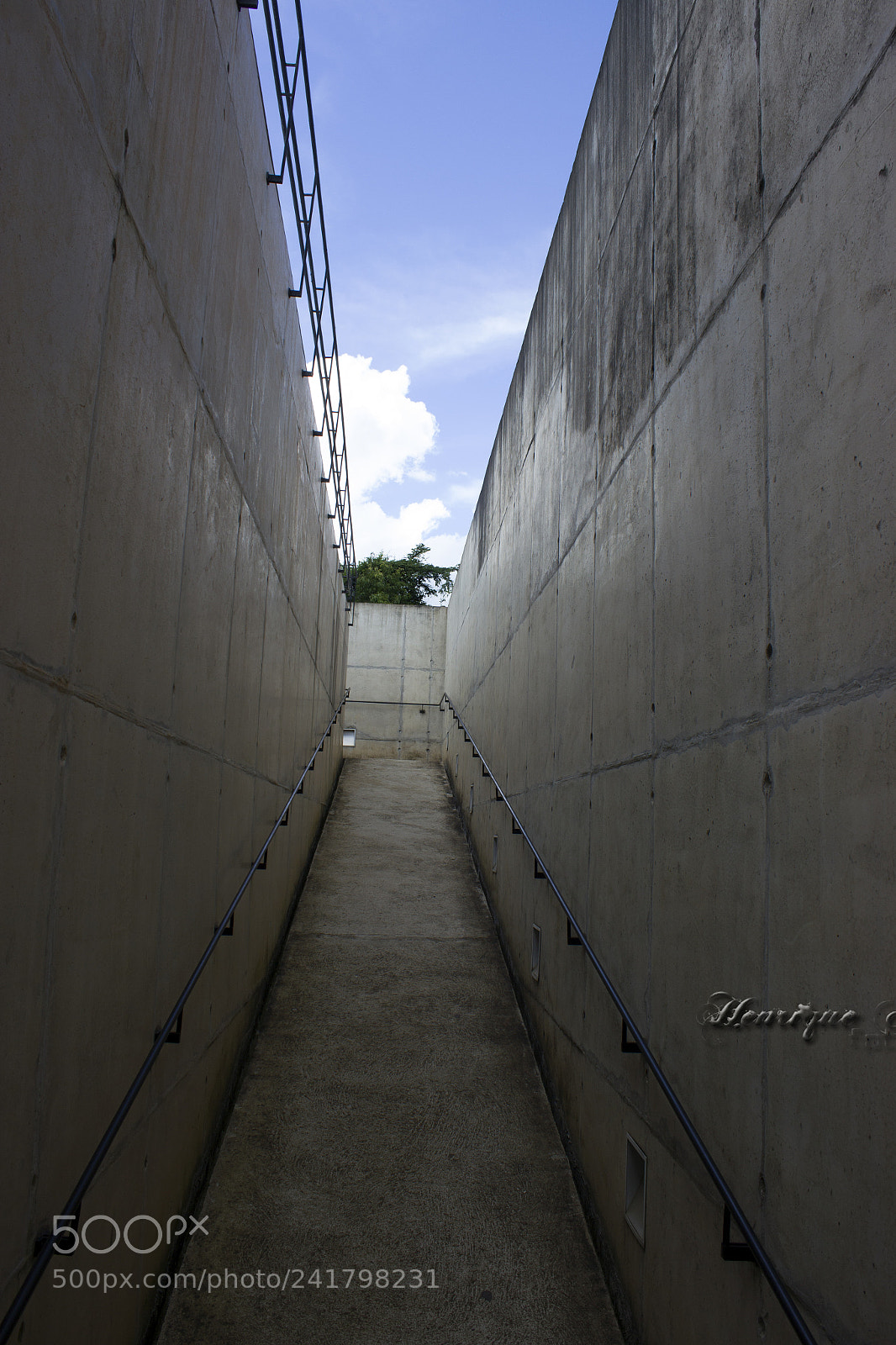 Canon EOS 600D (Rebel EOS T3i / EOS Kiss X5) sample photo. Inhotim - mg photography