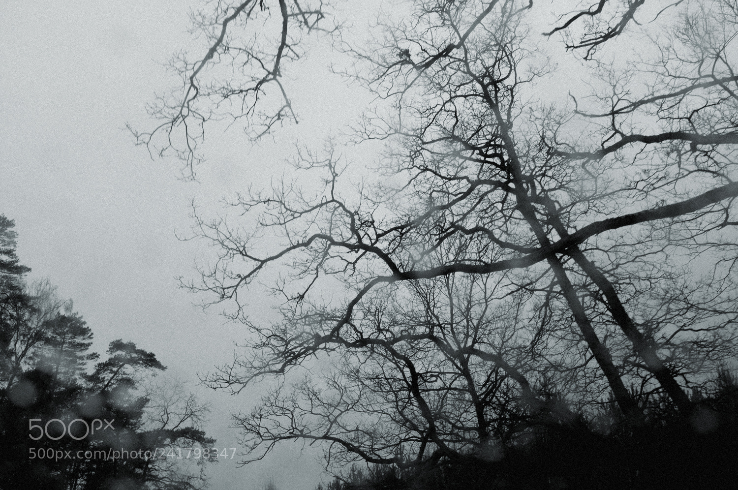Fujifilm FinePix X100 sample photo. Winter rain photography